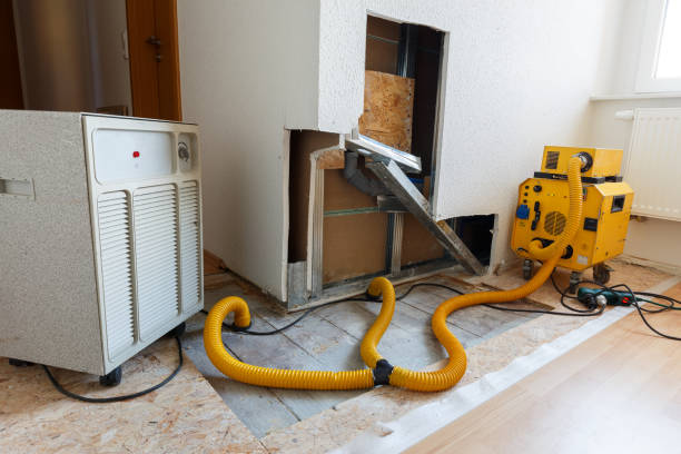 Mold Remediation for Vacation Homes in Augusta, WI